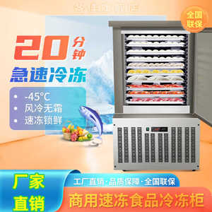 商用速冻机海参海鲜面团生胚包子油条饺子速冻柜低温急速冷柜冰柜