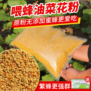 油菜杂粉养蜂喂蜂专用天然花粉颗粒繁殖蜜蜂饲料中蜂蜂粮养蜂工具