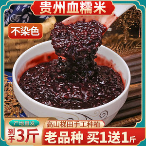 血糯米新米贵州特产农家紫米紫糯米2斤正宗 黑糯米糯米粽子专用米