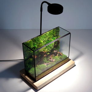 简约桌面摆件玻璃花房造景盆几何迷你雨林缸微景观微缩森林生态盒