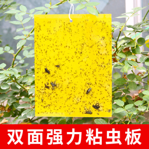 黄板双面粘虫板家用果园诱虫纸贴小黑飞强力沾果蝇诱捕器粘板针蜂