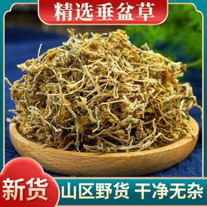 垂盆草中药材500g干货泡茶正宗野生药用食用垂盆草干垂盆草锤盆草