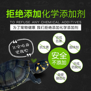 龟逍遥黄头小乌龟食物专用粮上浮颗粒型龟粮饲料侧颈龟深水