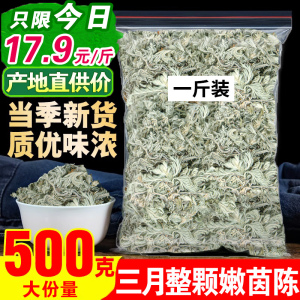 茵陈中药材500g野生茵陈蒿茶三月绵茵陈泡水白蒿茵陈草药新鲜整棵