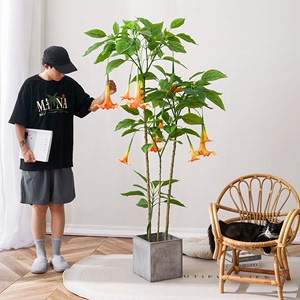 北欧大型仿真绿植盆栽仿生植物曼陀罗室内客厅装饰假花落地摆件树