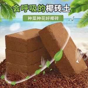 椰砖营养土肥多大椰糠土砖脱盐种菜养花种植土壤通用型耶砖椰土砖