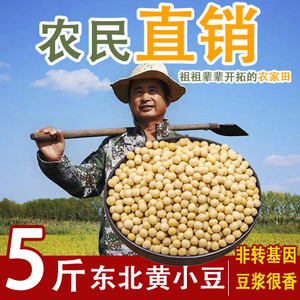 东北优质新黄豆打豆浆专用生豆芽5斤大豆杂粮笨土小粒农家自种