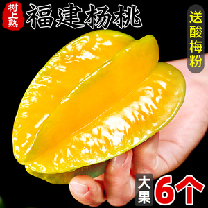 福建漳州甜杨桃6个新鲜当季水果洋桃红扬桃五角星阳桃2斤整箱包邮