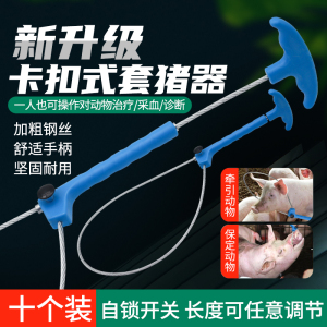 新款卡扣猪用套猪器保定器抓猪神器拉猪栓猪绳子捕猪套子猪场设备