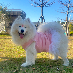 宠物中大型犬衣服夏季薄款萨摩耶泰迪金毛哈士奇狗狗衣服春秋裙子