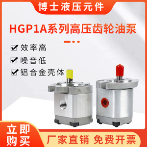 液压油泵小型高压定量齿轮泵头HGP-1A-F1234568R各种型号齐全