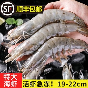 超大海虾鲜活对虾活虾野生海捕新鲜冷冻青虾海白虾基围虾4斤生腌