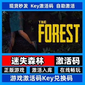 steam正版迷失森林激活码入库The Forest在线联机PC中文游戏全DLC