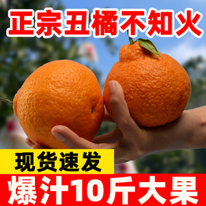 四川不知火丑橘水果新鲜当季甜丑八怪金桔子粑粑耙耙橘子柑整箱