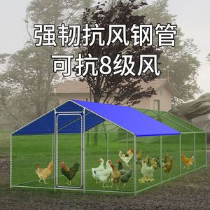 大号养鸡棚养殖鸡笼大棚家禽笼鸡舍鸡屋防雨屋顶户外鸡窝钢管搭建