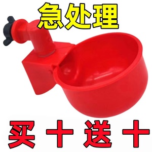 家禽自动饮水器鸡鸭鹅自动水碗自动喂水器鸽子鸡饮水器鹌鹑饮水碗