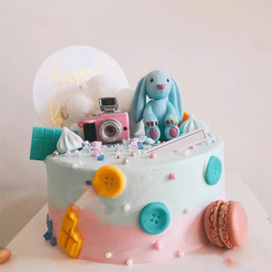 长耳兔烘焙蛋糕装饰摆件卡通相机垂耳兔子少女儿童生日甜品装扮