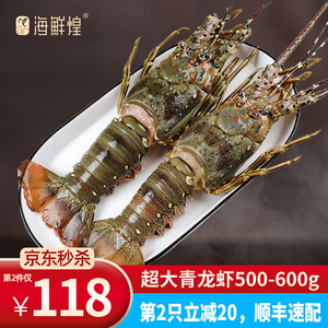 小青龙虾鲜活冷冻大龙虾海鲜水产深海虾速冻海虾特大印度青龙虾