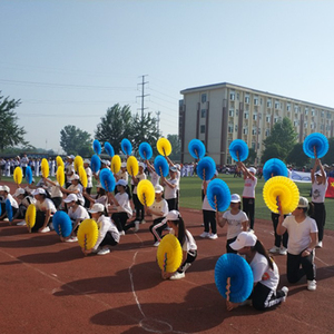 运动会入场创意道具小学生手拿舞蹈手持物手翻花变色扇子方队花球