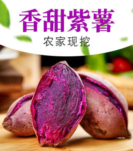 紫薯大小个新鲜现挖番薯5斤农家自种软糯当季紫心红薯10