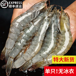 南美对虾冰鲜大虾鲜活超大基围虾速冻海虾冷冻海捕对虾海鲜水产