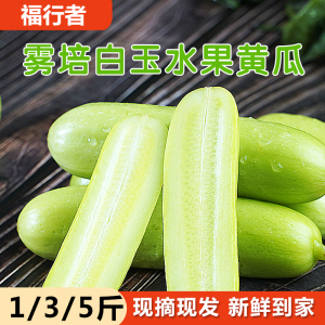 福行者雾培白玉水果黄瓜荷兰黄瓜新鲜小青瓜蔬菜生吃1/3/5斤包邮