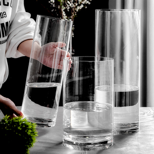 花瓶摆件客厅插花透明玻璃瓶水养马醉木富贵竹专用宽口水培器皿大