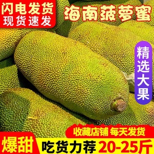 海南三亚黄肉菠萝蜜10-35斤整箱单个热带新鲜水果菠萝木菠萝
