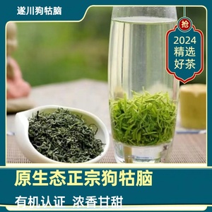 江西遂川正宗狗牯脑2024特产明前新品绿茶