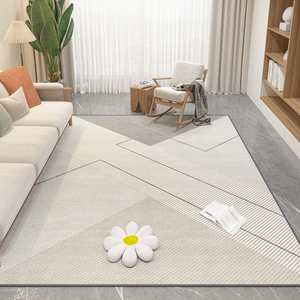 地毯客厅轻奢沙发茶几毯高级大面积卧室现代风家用进门口地垫房间