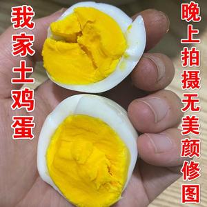 山东农村真正散养的新鲜土鸡蛋 吃粮食菜叶虫子正宗笨鸡蛋柴鸡蛋