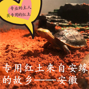 安徽省黄缘龟专用红沙土 霍山大别山安缘龟夹板乌龟松针竹叶绿植