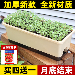阳台种菜盆专用箱长方形蔬菜种植盆户外自吸水草莓盆栽塑料花盆大