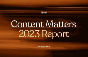 WPVIP：2023年内容营销报告数据图表调研调查分析报告资料情景趋