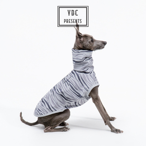 YDC Store宠物小灵缇惠比特贝林顿仿鲨鱼皮高弹运动型赛狗背心