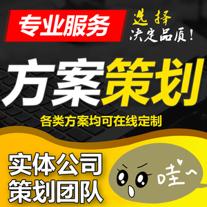 项目运营计划书执行服务管理规划实施解决技术提报方案策划设计