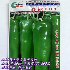 洛椒306/308超大果辣椒种籽牛角椒种子微辣早中熟四季蔬菜种子