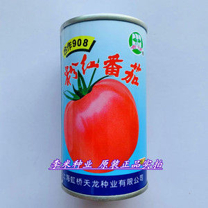 上海合作903/906/908/918粉红番茄种籽早熟高产春秋播西红柿种子