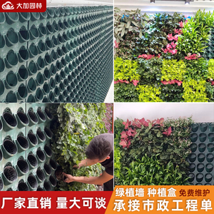 户外立体绿化植物墙壁挂式蜂巢盒绿植种植盒垂直绿化绿植墙种植盒