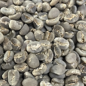 印度尼西亚 星钻—曼特宁21目大颗粒24年新产季精品等级咖啡生豆