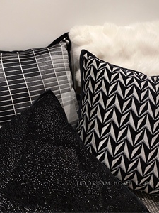 Texdream态度 黑色轻奢 现代简约沙发抱枕靠枕客厅含枕芯靠垫套