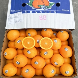 2024美国进口新奇士黑标3107脐橙子40斤新鲜当季水果大果甜橙包邮