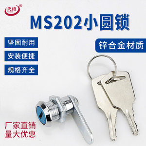 MS202工具箱小工业锁仪表箱锁开孔12mm小转舌锁铁柜锁柜体用锁