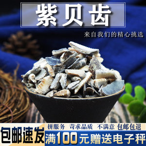 紫贝齿 500g纯齿 另售紫贝全壳 文贝 南蛇牙齿狗支螺非野生中药材