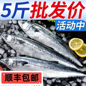 【顺风包邮】5斤青岛鲅鱼9--10条新鲜冷冻鲜活燕鲅鱼马鲛鱼馅饺海