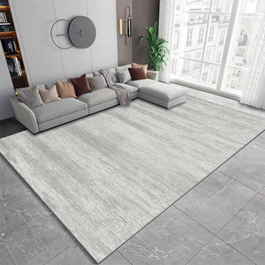 地毯客厅卧室轻奢高级家用沙发免打理现代简约灰色床边毯入户地垫