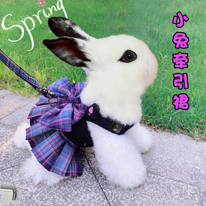 兔子衣服牵引绳夏天溜小兔子穿的防挣脱可爱侏儒兔专用宠物绑遛绳