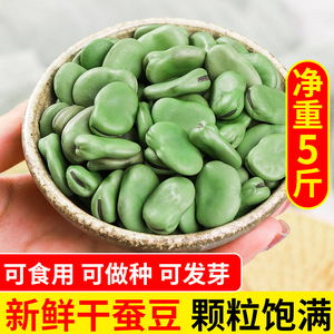 豆蒄花 豆蒄花品牌 价格 阿里巴巴