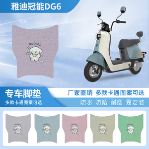 雅迪冠能DG6专用电车脚垫踏板垫防水丝圈脚踏垫四季通用脚垫座垫