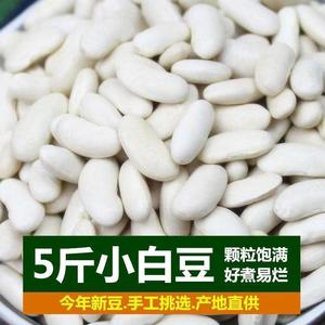 豆新货白腰白豆云南农家自种小白芸豆豆米煲汤煲粥打豆浆五谷杂粮